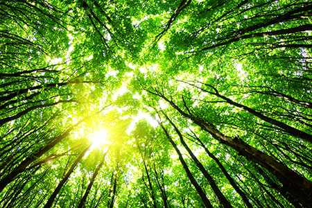 В порту Генуи состоялась первая в Италии бункеровка парома сжиженным биометаном